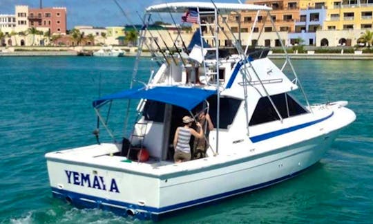 Deep Sea Fishing Private Yacht Charter From Punta Cana
