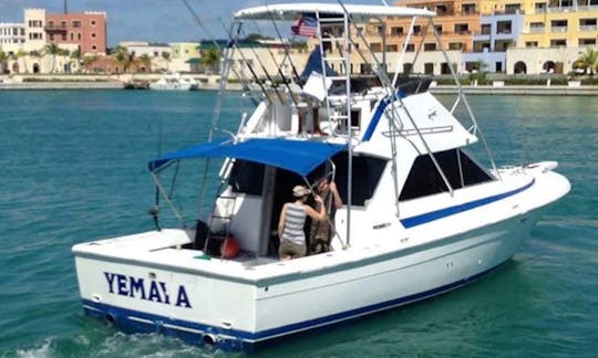 Deep Sea Fishing Private Yacht Charter From Punta Cana