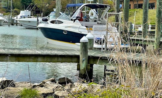 2016 Regal 31' CruiseThe Inner Harbor, Annapolis, Hart Miller Island, Jelly Fish Joel's Tiki