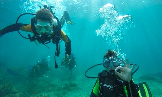 Discovery Scuba Diving in Salou, Catalunya