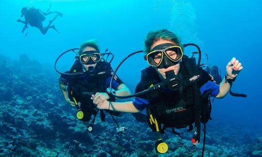 Discovery Scuba Diving in Salou, Catalunya