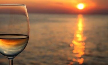 Croisière avec dégustation de vins au coucher du soleil, unique à San Jose del Cabo