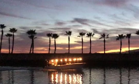 Croisière avec dégustation de vins au coucher du soleil, unique à San Jose del Cabo