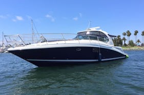Sea Ray 45' Chicago Playpen, River, Winery, Lilly Pad
