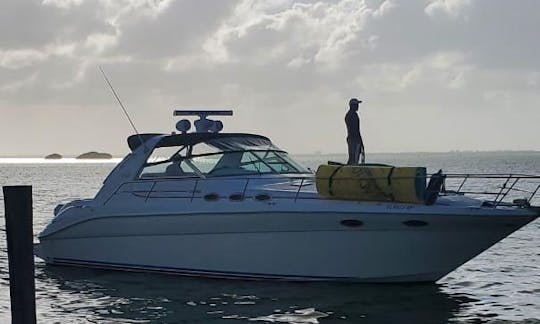 RÉSERVEZ 6 heures et OBTENEZ 1 heure gratuite ! Yacht à prix avantageux à Cancún 40 pieds Sea Ray