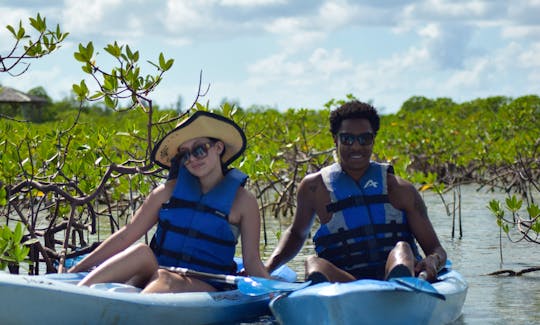 1 Hour Kayaking Trip in Nassau, New Providence