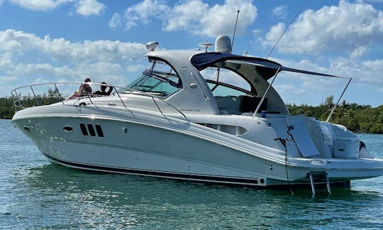 Immaculate Sea Ray Sundancer 44ft Sports Yacht for Charter!