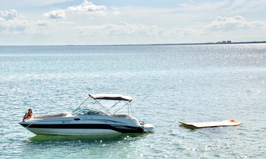 Explore Miami at $50/Hr on a 26' Sea Ray Rental!