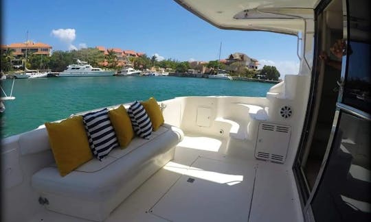 Increíble Sea Ray de 42 pies en Puerto Aventuras cerca de Tulum y Playa