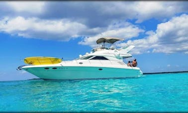 Amazing Sea Ray 42 pés em Puerto Aventuras, perto de Tulum e Playa