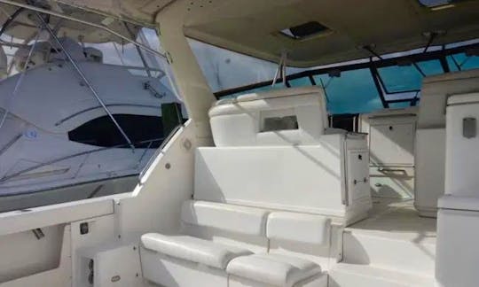 Amazing 42' Tiara Motor Yacht For Charter In Punta Cana