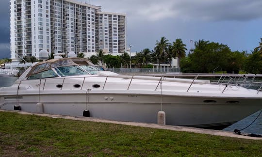 SeaRay SunDancer 55' for Charter in Miami Beach