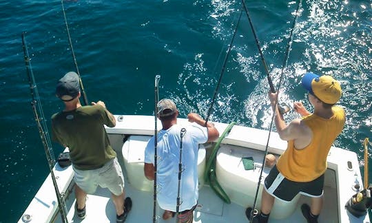 Inshore and Offshore Fishing Charters near Tampa