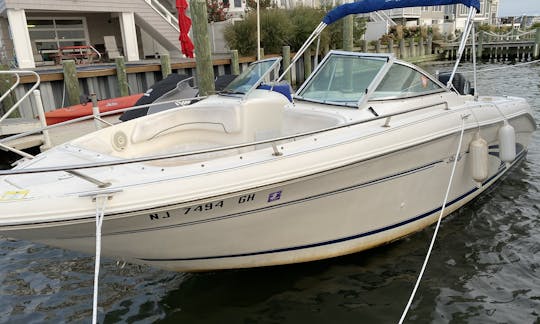 Bowrider Sea Ray de doble consola de 21 pies con un nuevo fueraborda de 200 HP en la parte inferior del barco