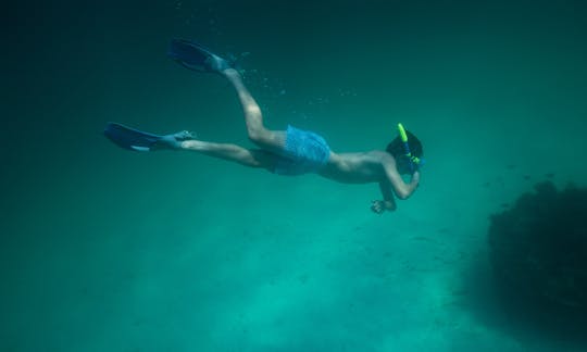 Isla del Cangrejo, buceo con esnórquel y crucero con delfines. Charter privado para hasta 6 personas