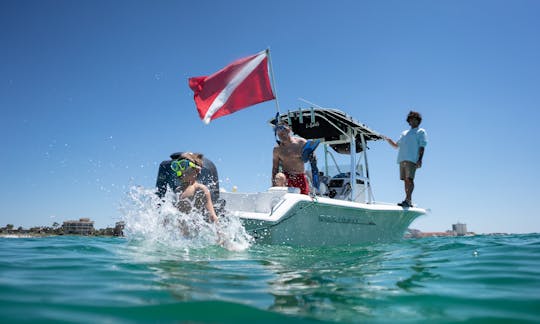 Ilha do Caranguejo, mergulho com snorkel e cruzeiro com golfinhos. Charter privado para até 6 pessoas