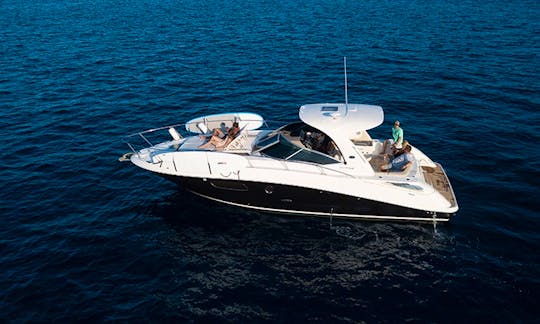 37 ft Sea Ray Sundancer Private Powerboat – 2012 model – Cabo San Lucas, Mexico