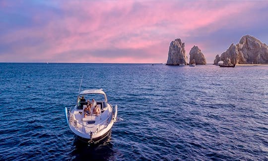 37 ft Sea Ray Sundancer Private Powerboat – 2012 model – Cabo San Lucas, Mexico