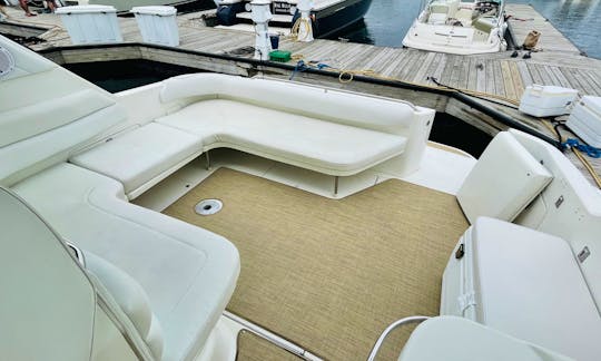 Beautiful Luxury Cruiser 40' Sea Ray Sundancer for Charter in Chicago