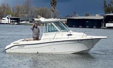 Bateau de pêche à moteur SeaSwirl Striper de 21 pieds à San Francisco et dans les environs