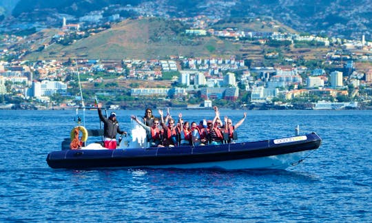 Swim With Dolphins 2H Private Whale Watching Tour from Funchal for 450€