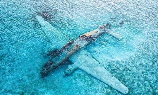 Snorkel at Sunken Plane Norman's Cay , Bahamas