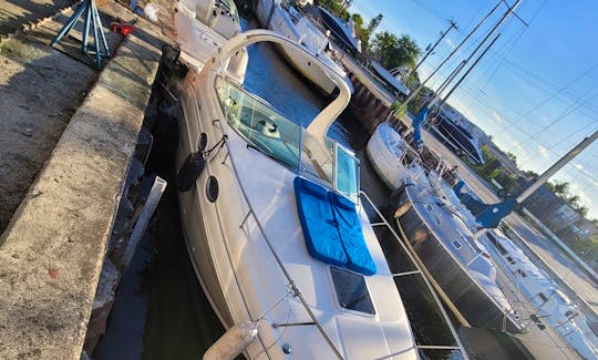 Sea Ray Sundancer 30' Yacht for Charter in Miami