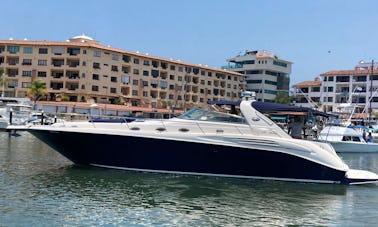 Luxury SeaRay 44 Power Yacht in Puerto Vallarta