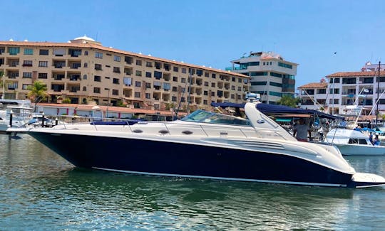 Luxury SeaRay 44 Power Yacht in Puerto Vallarta