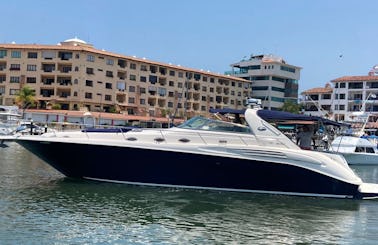 Luxury SeaRay 44 Power Yacht in Puerto Vallarta