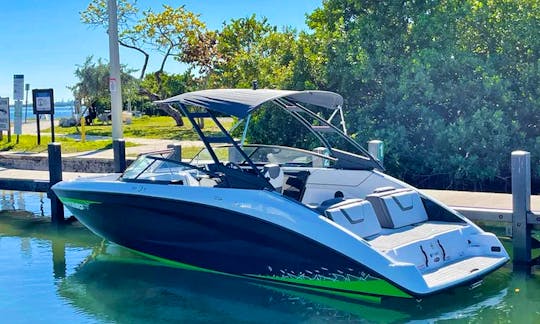 2021 Yamaha 25' Powerboat with extras (up to 8 persons)