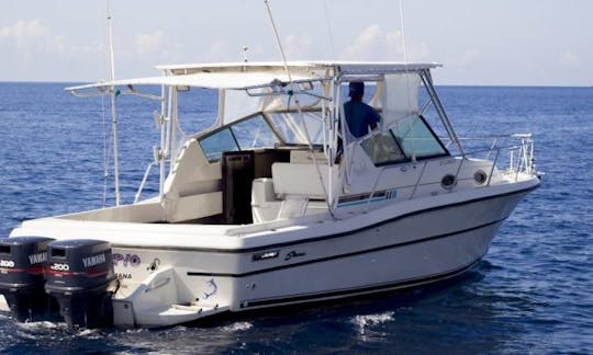 Sport Fishing Trip for 6 People in Punta Cana