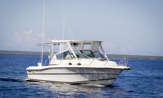 Sport Fishing Trip for 6 People in Punta Cana