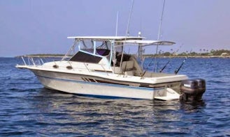 Sport Fishing Trip for 6 People in Punta Cana