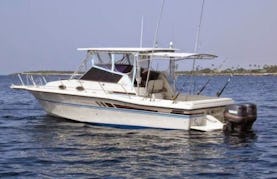Sport Fishing Trip for 6 People in Punta Cana