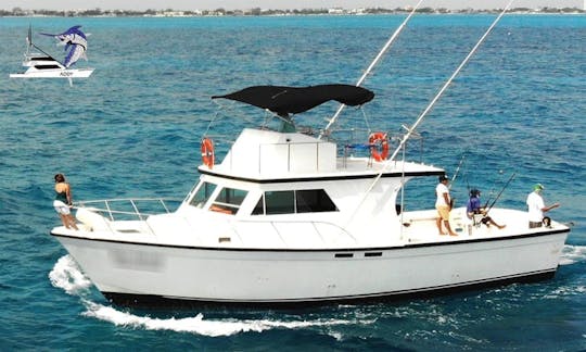 Cancun Fishing Charter if you don't fish you don't pay 46ft yacht