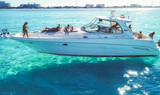 Luxurious 46' Sea Ray Yacht for 15 pax in Cancún, Quintana Roo