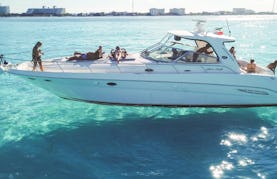 DSTNY 46' Sea Ray Yacht for 15 pax in Cancún, Quintana Roo