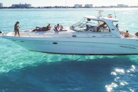 DSTNY 46' Sea Ray Yacht for 15 guests in Cancún, Quintana Roo