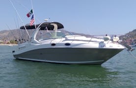 Beautiful SeaRay Cruiser in Zihuatanejo, Mexico