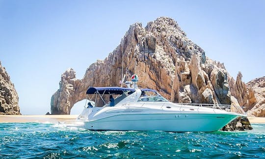 45' Sea Ray Yacht Package Deal in Cabo San Lucas, Baja California Sur