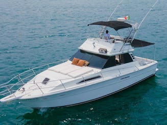 Classic SeaRay 40ft Yacht. Right match for cruising and Sportfishing