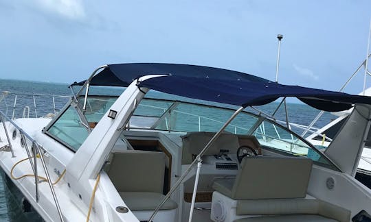 Explore Cancun & Isla Mujeres on a Private Yacht