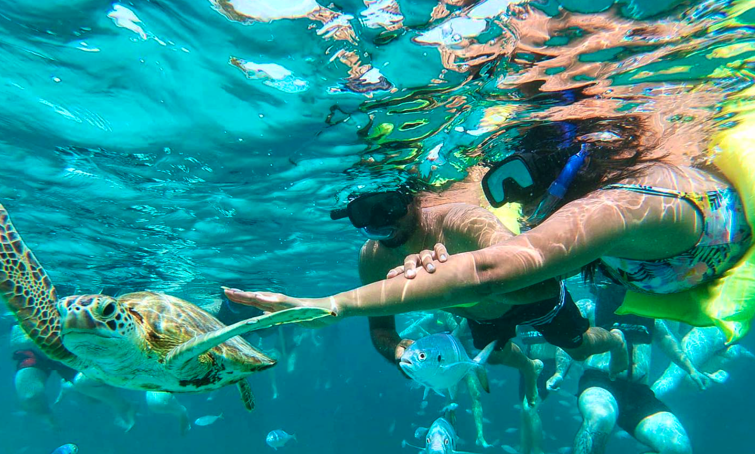 Snorkel Tours and Cruises on 39' Glass Bottom Boat in Barbados GetMyBoat