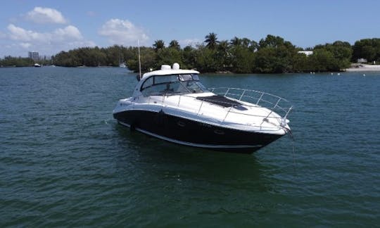 Lindo Sea Ray Sundancer 38 de 2008 em Haulover