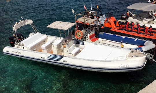 NUOVA JOLLY KING 990 'Treponas' Boat Hire in Port de Andratx