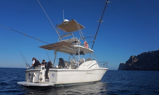 Location de pêche sur le yacht Pursuit Offshore 3000