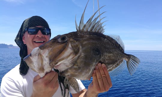 Location de pêche sur le yacht Pursuit Offshore 3000