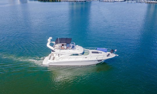 Charter 44' Sea Ray Luxury Sedan Bridge Yacht