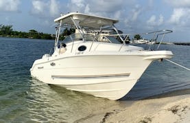Fun in the beach with 24' Wellcraft Coastal Powerboat